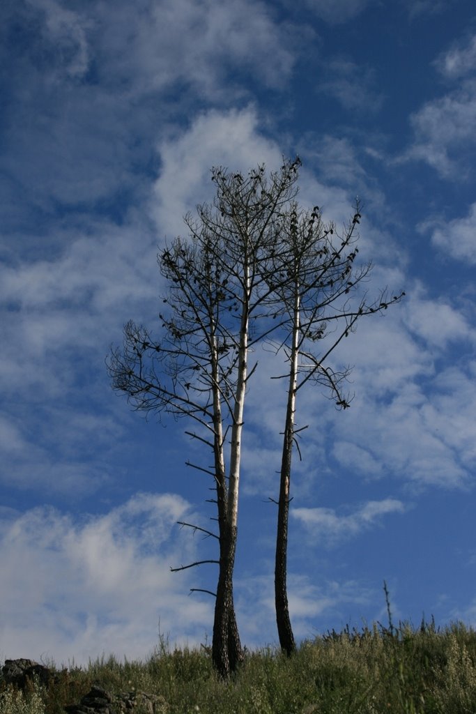 [2008.05.17+1+008.jpg]