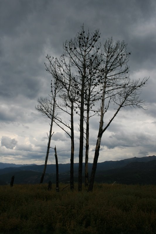 [2008.05.11+2+024.jpg]