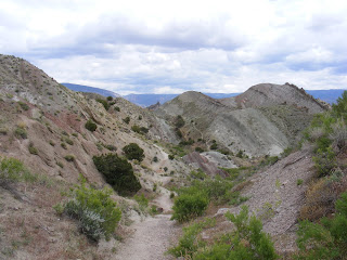 Dinosaur National Monument Path