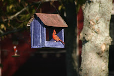 mr. cardinal