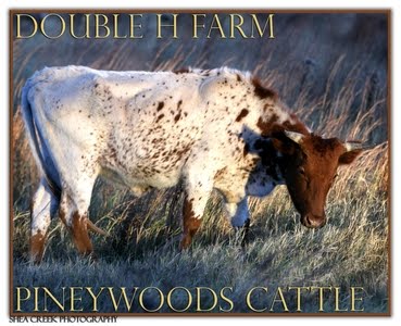 Also, Please Visit our Texas Heritage Cattle Blog!