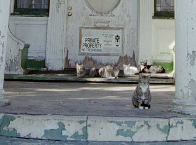 West Adams House - Cats