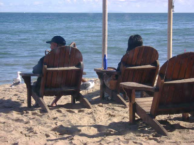 Birds hanging with the beachcombers