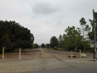 Exposition Blvd. and Military Ave. - Rancho Park