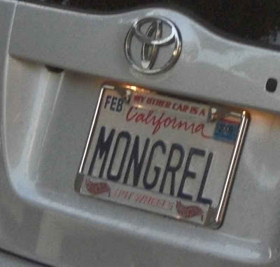 mongrel