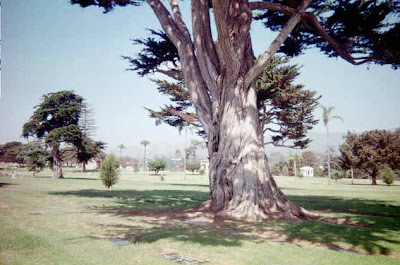 Santa Barbara Cemetery - Part Three