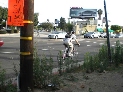 Biker Boy on Pico - West L.A.