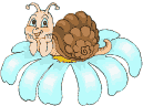 [escargots-09.gif]