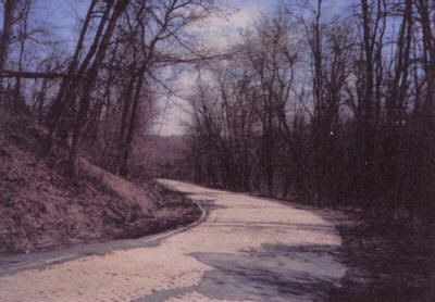 A whirlwind of fine garden design