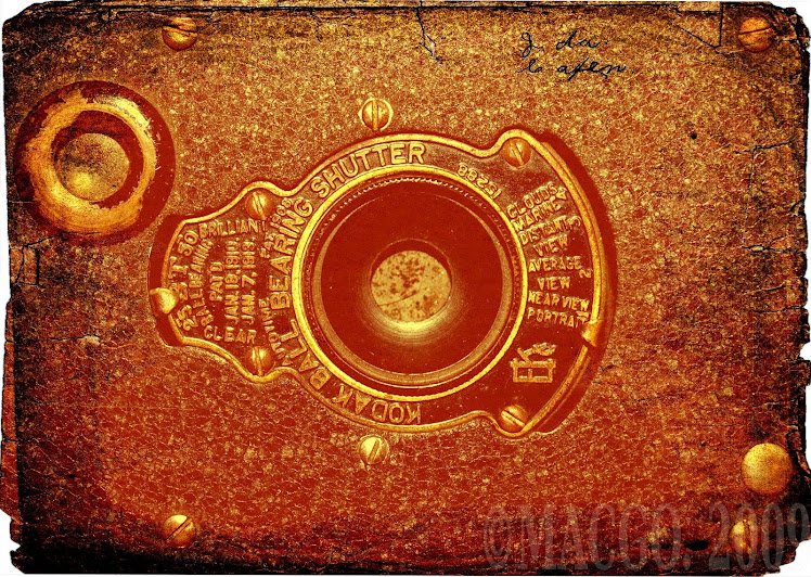 El indéfilo Los no vivos