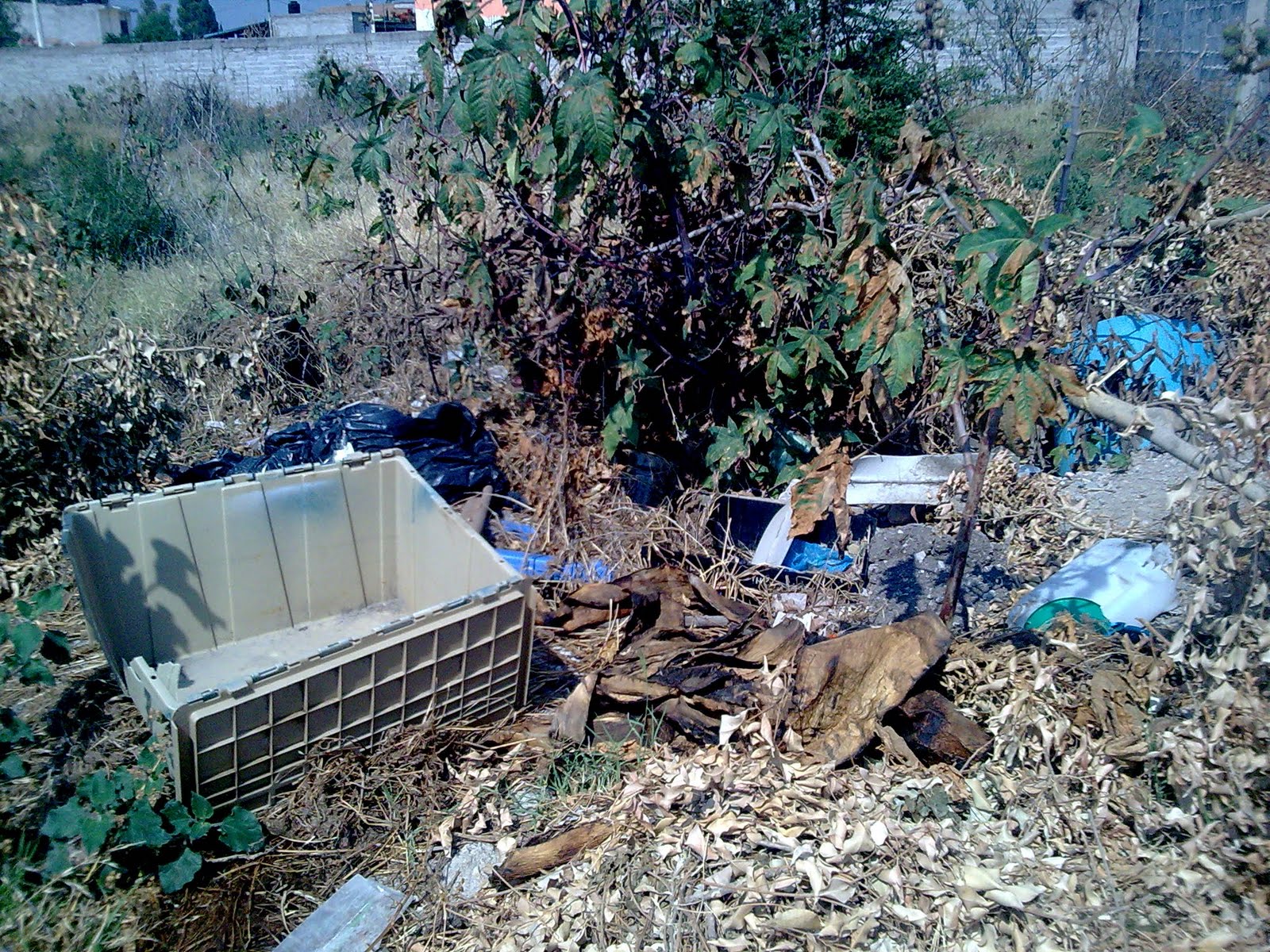 7--cC--gpo.22: Analisis de la problematica ambiental hogar, cocina y