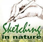 Sketchers in Nature