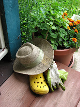 Barefoot Gardener Blog