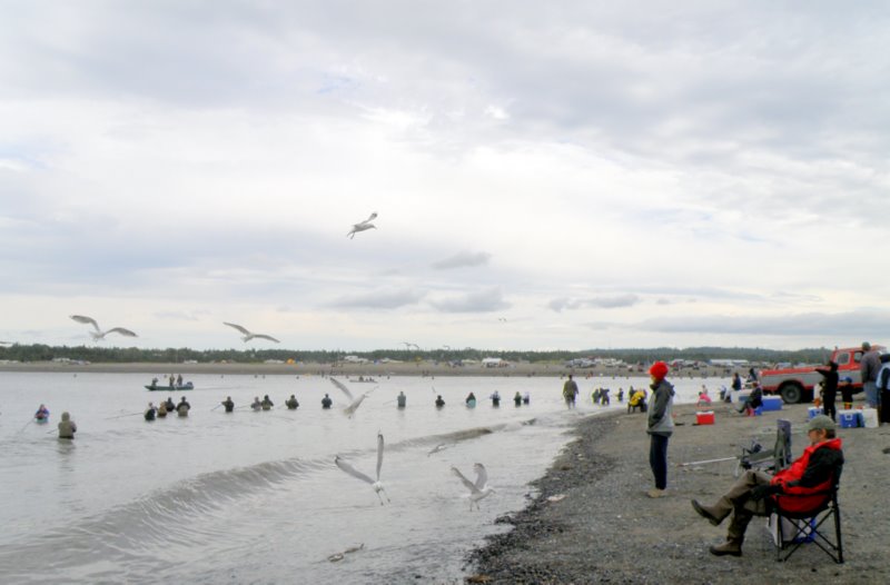 Alaska Adventure 2010 Kasilof River