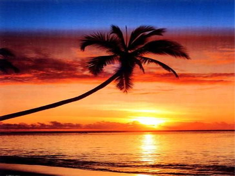 sunset.jpg