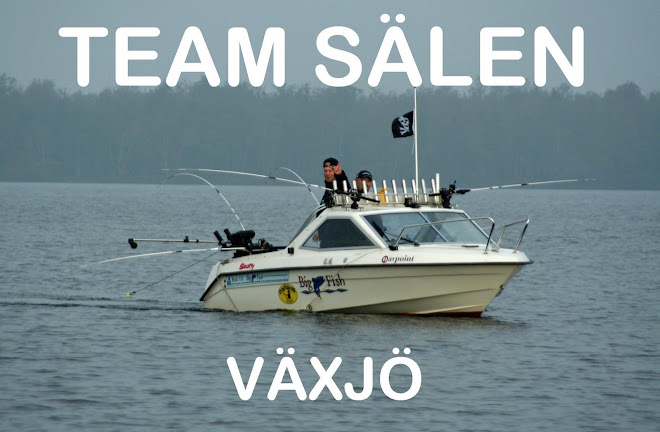 Team Sälen