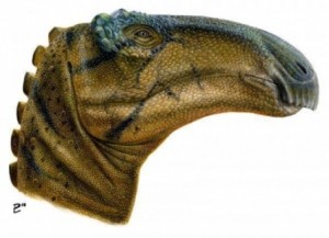 Sekedar Informasi Ditemukan Dinosaurus Mata Keriput Dan Mulut