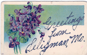 Seligman Post Card