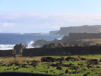 la côte de l'île