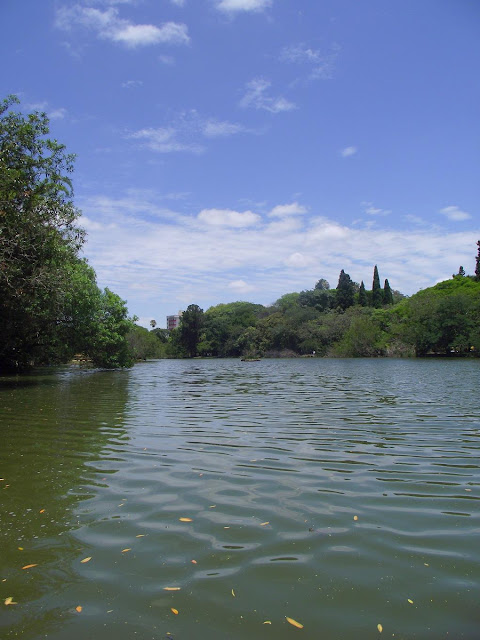 lago da Redenção em uma tarde ensolarada na primavera, fotografado pelo blog de Porto Alegre Vivendo Porto Alegre