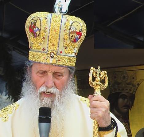 [IPS+Pimen+la+Putna.jpg]