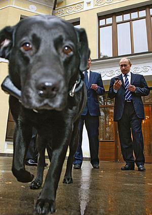 [putin_dog.jpg]