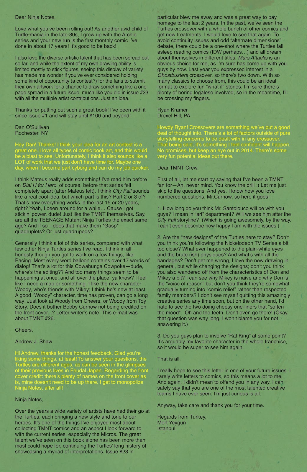 Teenage Mutant Ninja Turtles (2011) issue 29 - Page 29