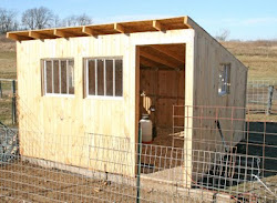 chicken coop yaaay almost