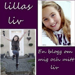 MIN DOTTERS BLOGG