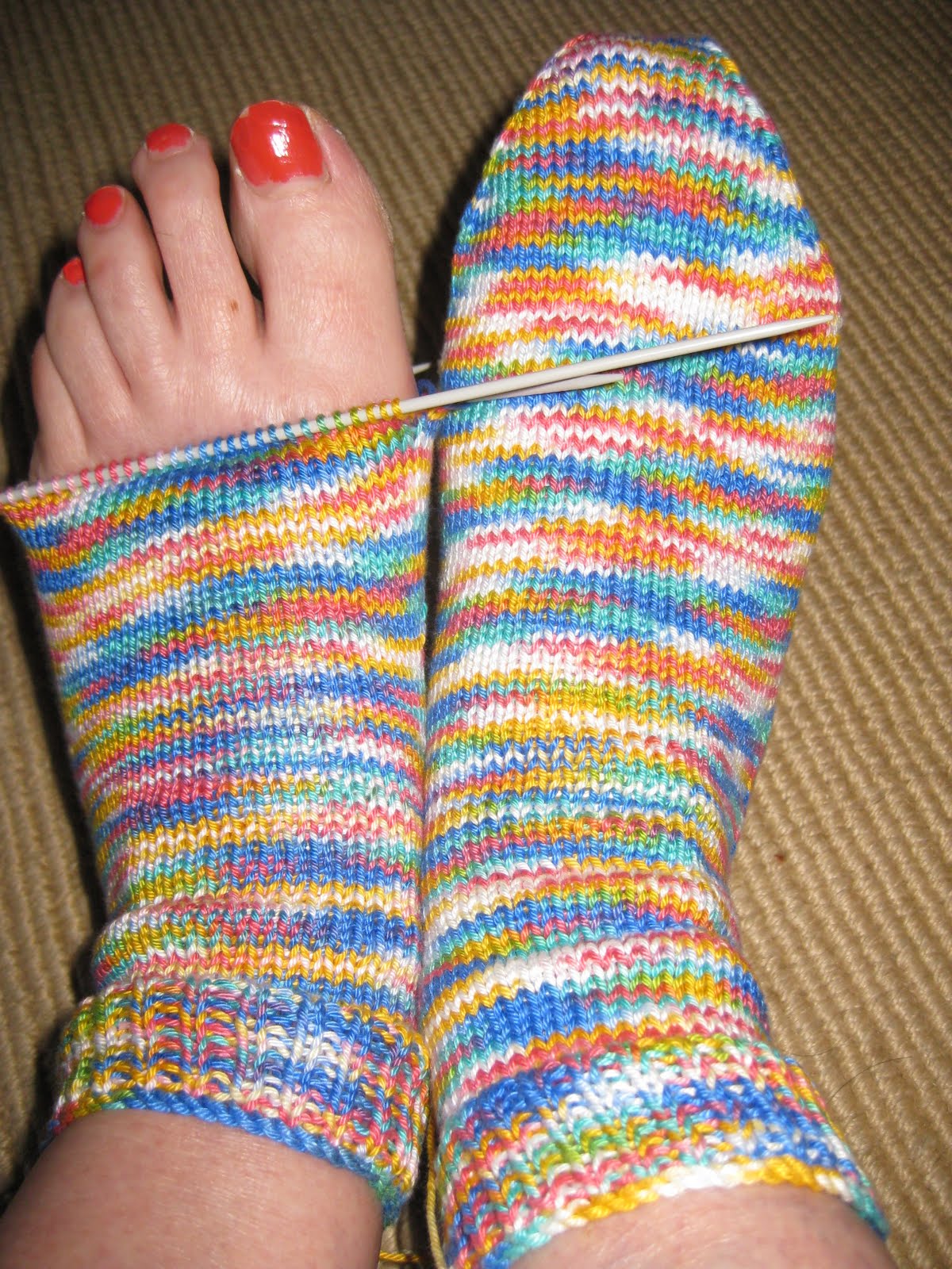 bless her little cotton socks cotton socks and canine capers