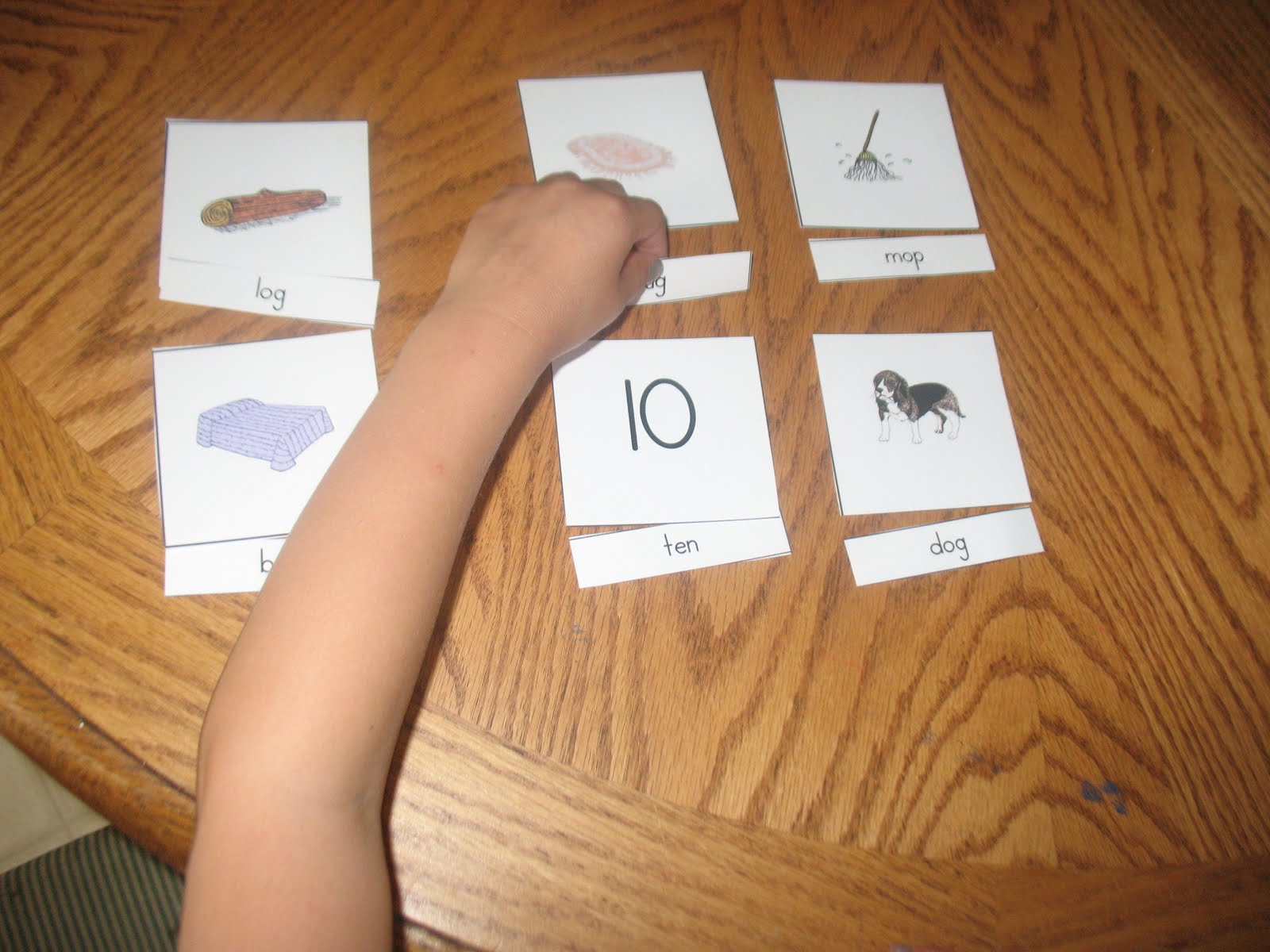 Montessori For Learning Pink Level Picture Labeling Two Three Letter Phonetic Words 