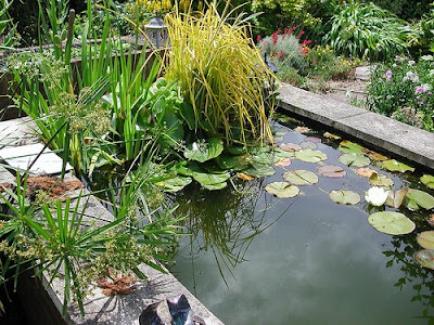 WaterGarden_EwaInTheGarden_2654637939_48be540c24.jpg