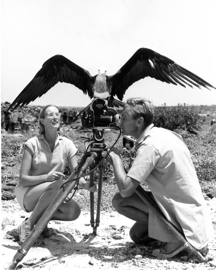 Eyes Wide Shut. Joan Root