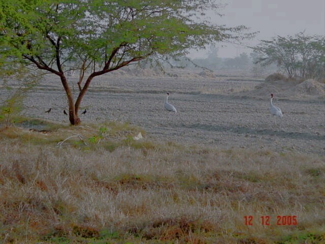[DSC00905.jpg]