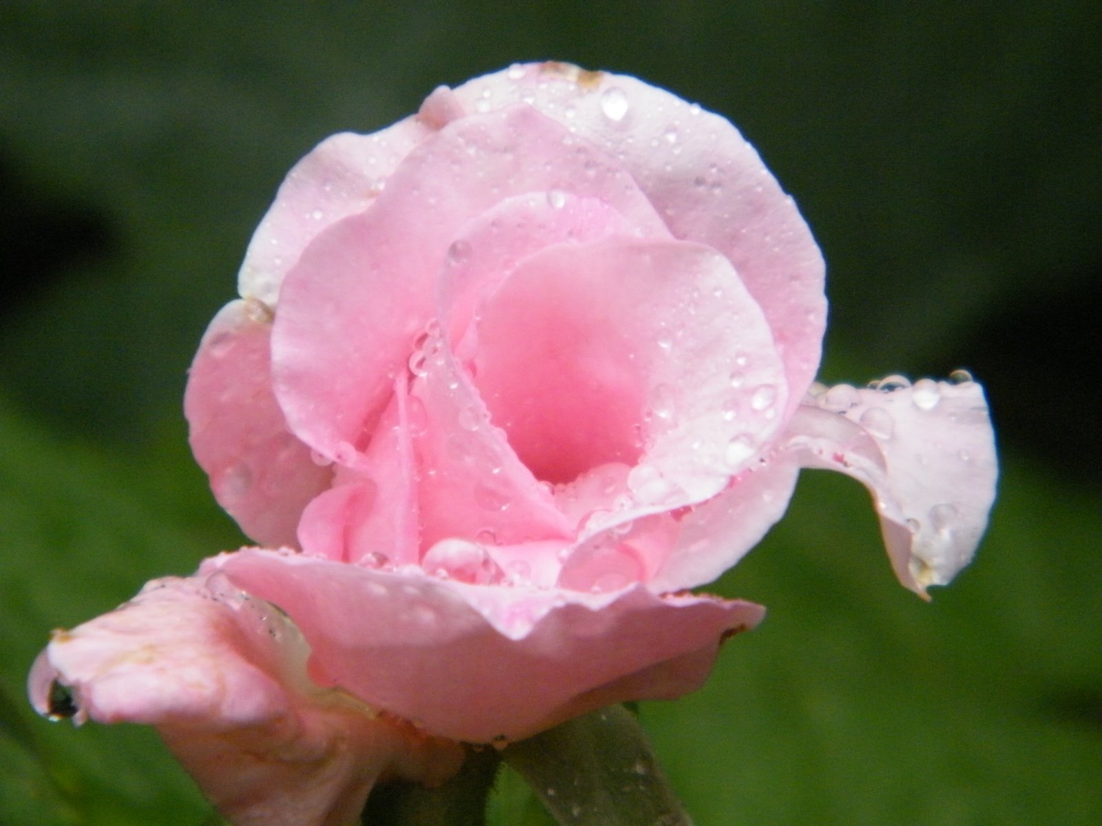 [DSCF1034.jpg]