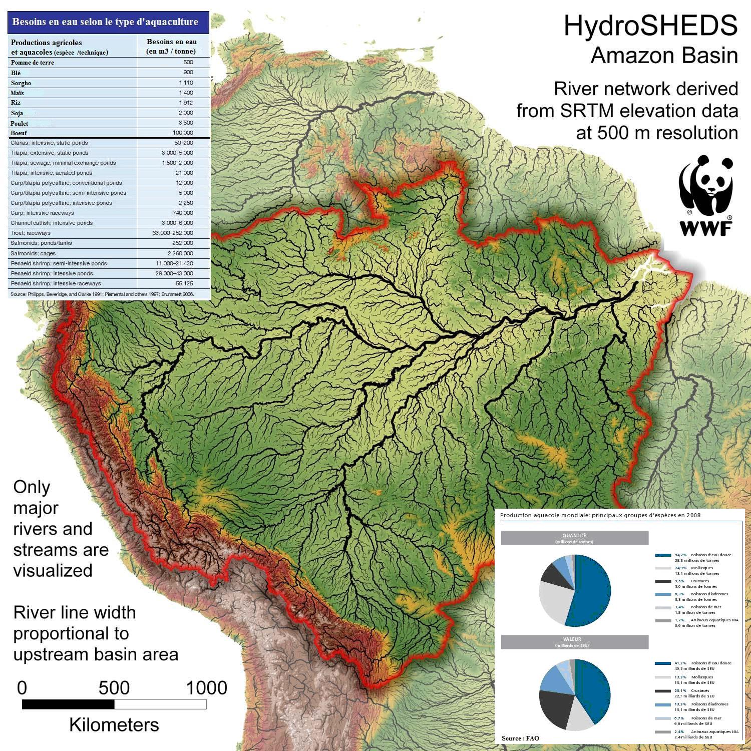 bearded-dragon-food.jpg bearded-dragon-food.jpg