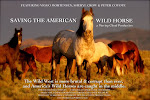 Saving The American Wild Horse