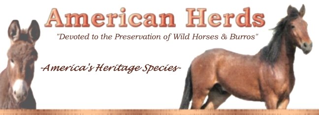 American Herds