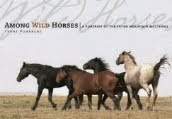 Among Wild Horses!