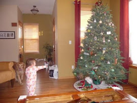 Savannah - waking up on Sunday to a Chistmas tree...she loves it!