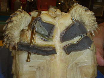 Tortoise Shell Repair