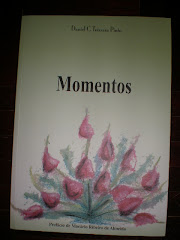 Daniel Teixeira Pinto "Momentos"