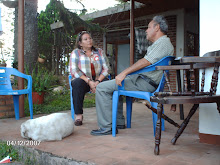 TERtulia cultural (al caer la tarde)