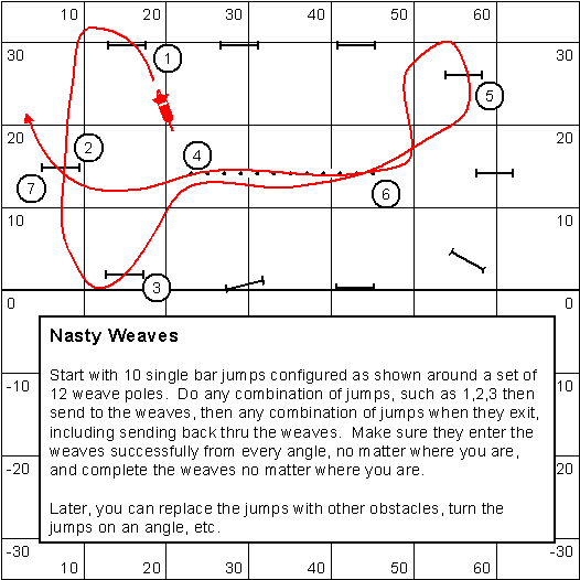 Michele Fry's Agility Dogs Training and Competition "Around The