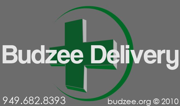 Budzee Logo