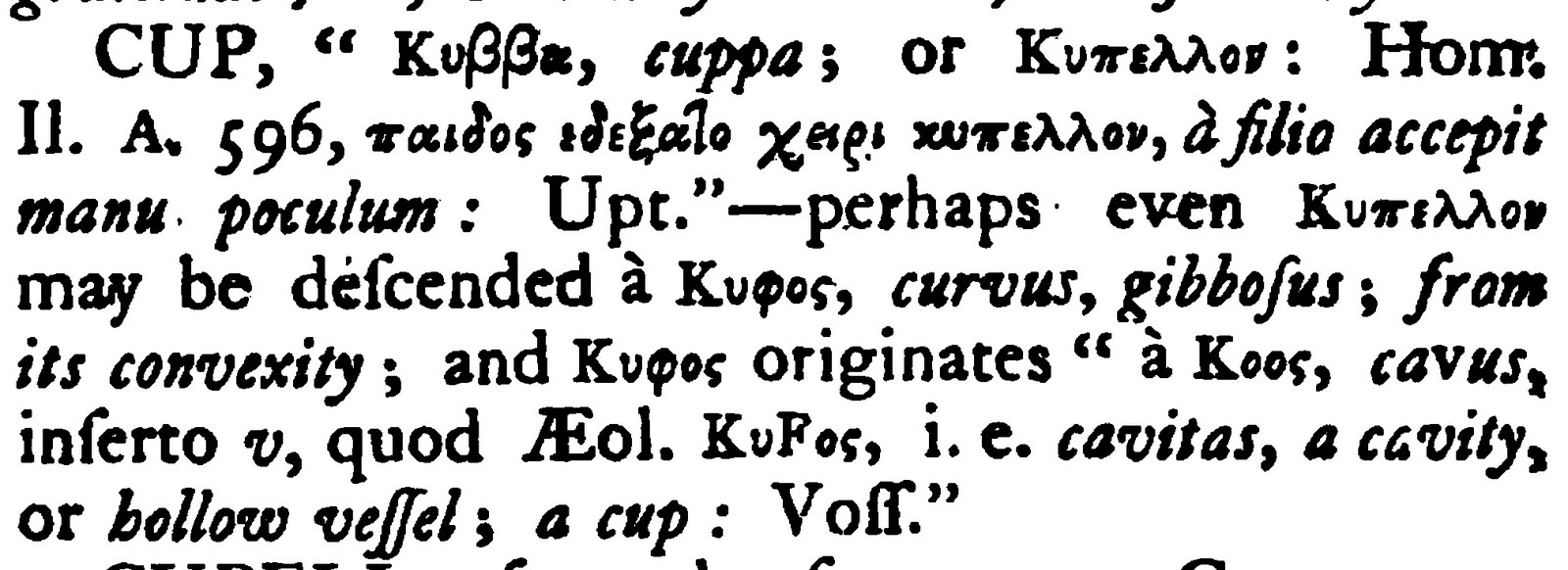 ENGLISH WORDS AND GREEK COGNATES. Etymology of cup