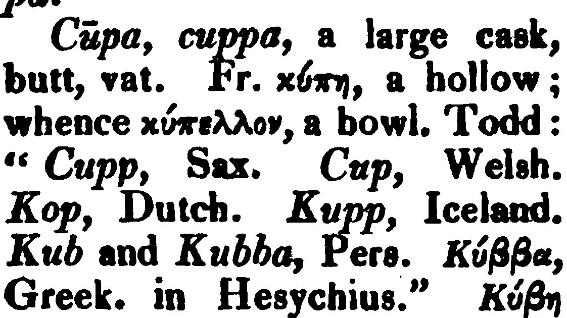 ENGLISH WORDS AND GREEK COGNATES. Etymology of cup