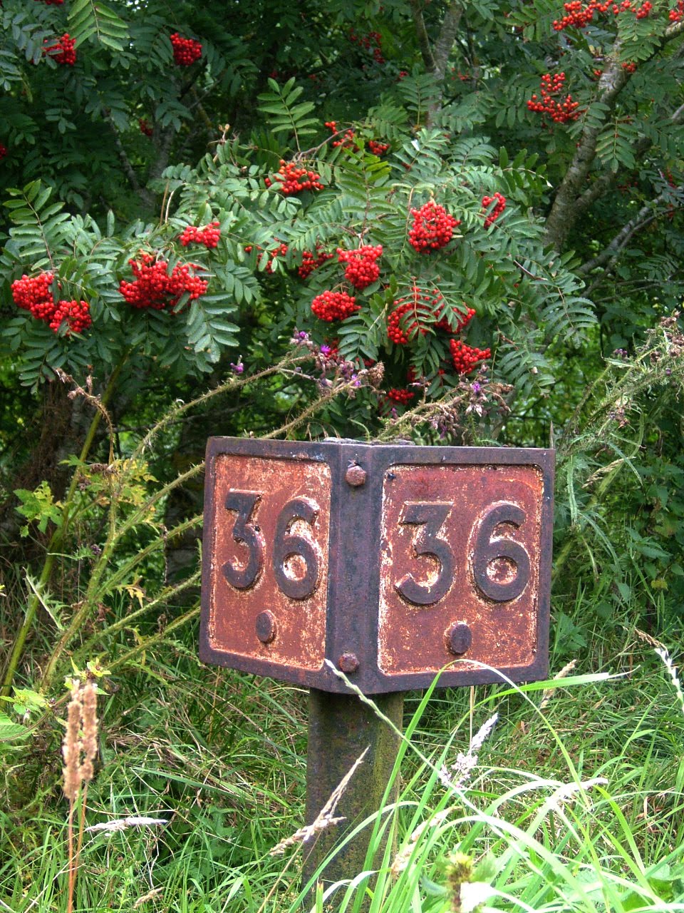 Walking The Line Mintlaw to Longside