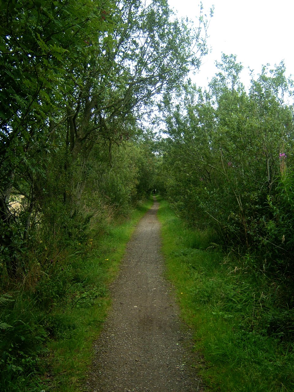 Walking The Line Mintlaw to Longside