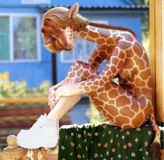 [giraffe.jpg]